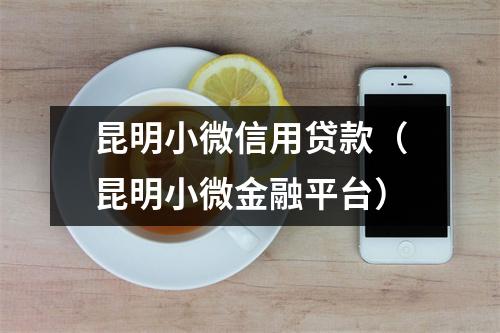 昆明小微信用贷款（昆明小微金融平台）