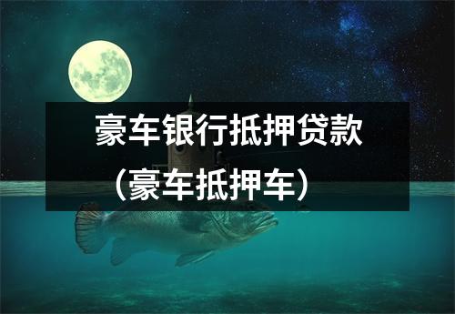 豪车银行抵押贷款（豪车抵押车）