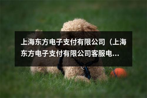 上海东方电子支付有限公司（上海东方电子支付有限公司客服电话）