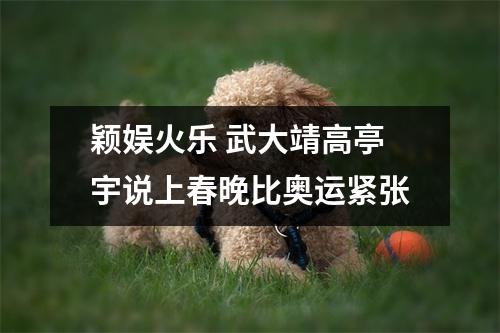 颖娱火乐 武大靖高亭宇说上春晚比奥运紧张