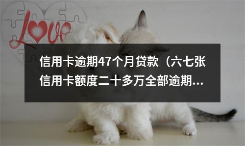 信用卡逾期47个月贷款（六七张信用卡额度二十多万全部逾期）
