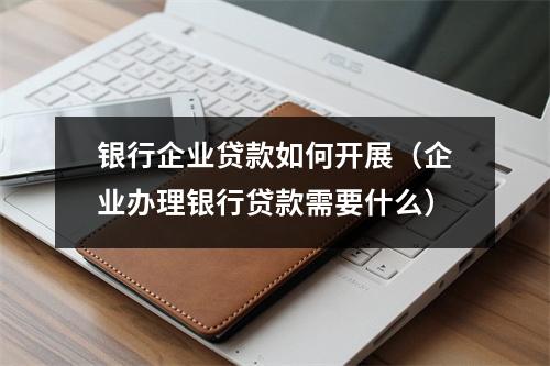 银行企业贷款如何开展（企业办理银行贷款需要什么）