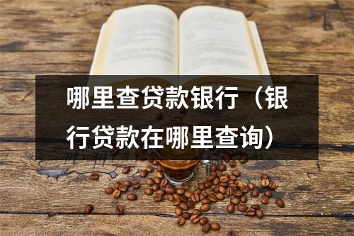 哪里查贷款银行(银行贷款在哪里查询)