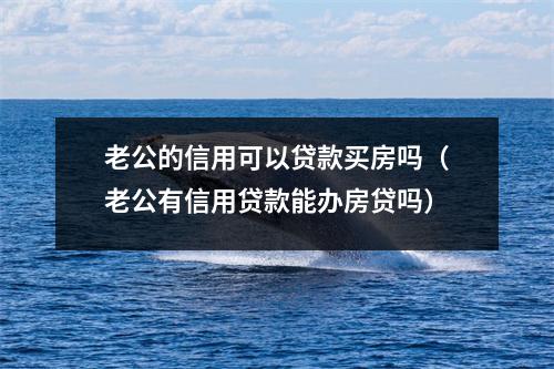 老公的信用可以贷款买房吗（老公有信用贷款能办房贷吗）