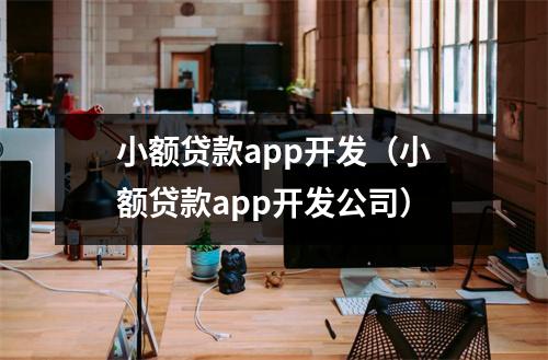 小额贷款app开发（小额贷款app开发公司）