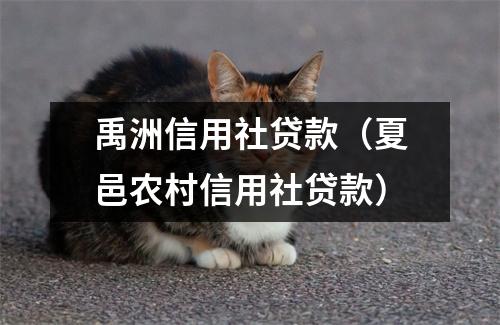 禹洲信用社贷款(夏邑农村信用社贷款)