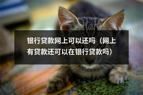 银行贷款网上可以还吗（网上有贷款还可以在银行贷款吗）