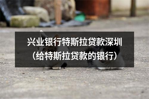 兴业银行特斯拉贷款深圳（给特斯拉贷款的银行）
