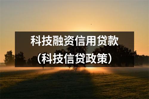 科技融资信用贷款（科技信贷政策）