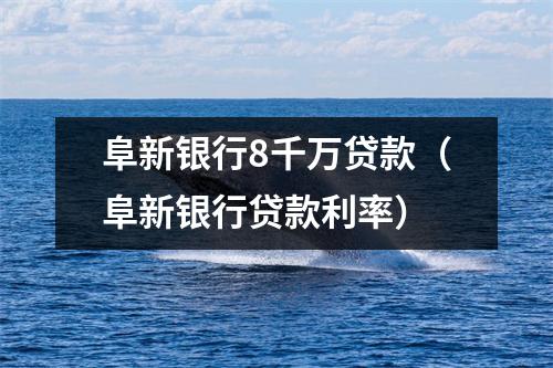 阜新银行8千万贷款（阜新银行贷款利率）