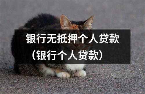 银行无抵押个人贷款（银行个人贷款）