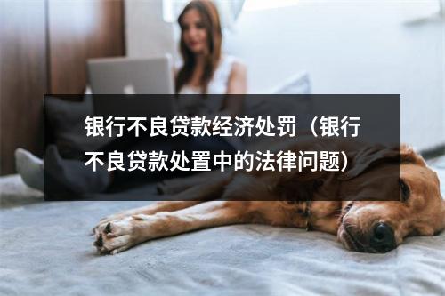 银行不良贷款经济处罚（银行不良贷款处置中的法律问题）