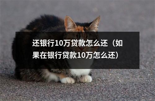 还银行10万贷款怎么还（如果在银行贷款10万怎么还）