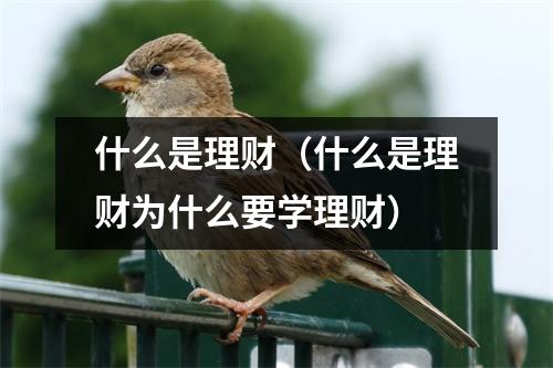 什么是理财（什么是理财为什么要学理财）