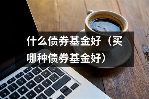 什么债券基金好(买哪种债券基金好)