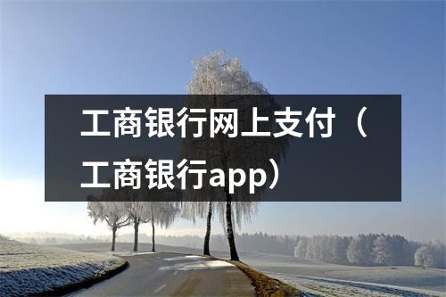 工商银行网上支付（工商银行app）