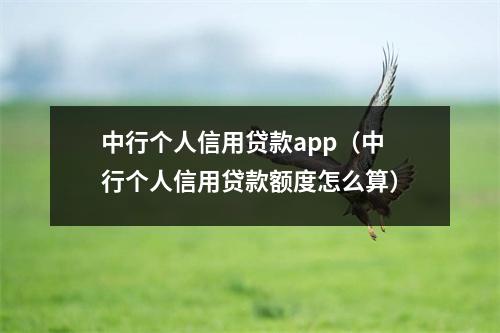 中行个人信用贷款app（中行个人信用贷款额度怎么算）