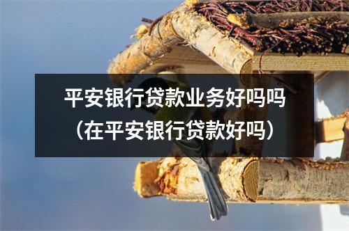平安银行贷款业务好吗吗（在平安银行贷款好吗）
