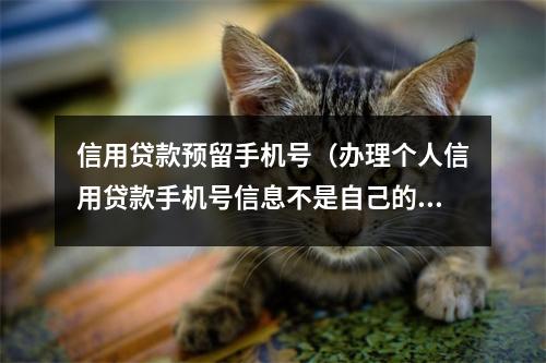 信用贷款预留手机号（办理个人信用贷款手机号信息不是自己的）