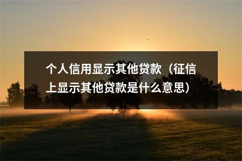 个人信用显示其他贷款（征信上显示其他贷款是什么意思）