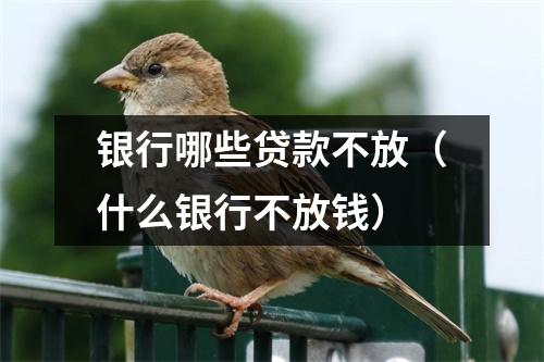 银行哪些贷款不放（什么银行不放钱）