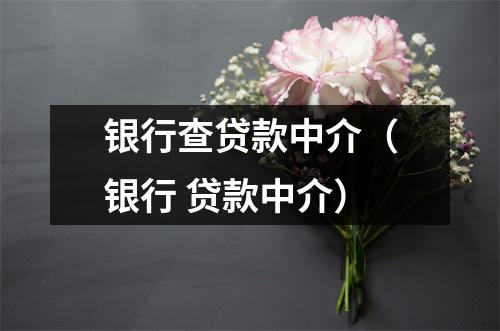 银行查贷款中介（银行 贷款中介）