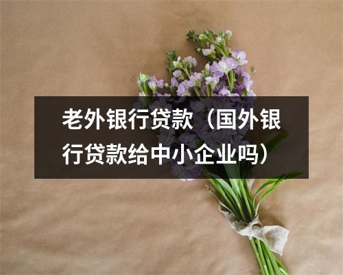 老外银行贷款（国外银行贷款给中小企业吗）