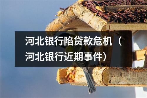 河北银行陷贷款危机(河北银行近期事件)