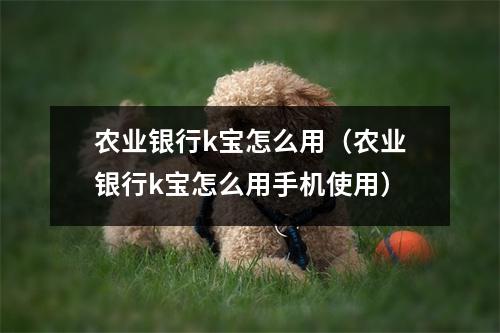 农业银行k宝怎么用（农业银行k宝怎么用手机使用）