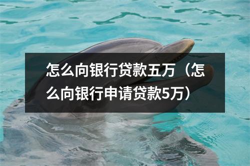 怎么向银行贷款五万（怎么向银行申请贷款5万）