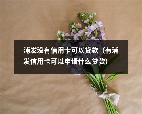 浦发没有信用卡可以贷款（有浦发信用卡可以申请什么贷款）