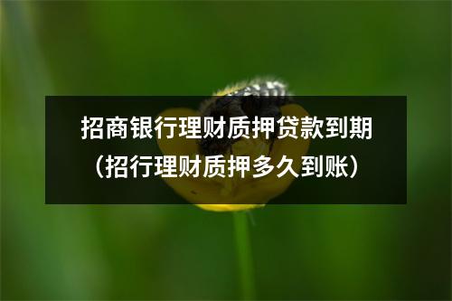 招商银行理财质押贷款到期(招行理财质押多久到账)