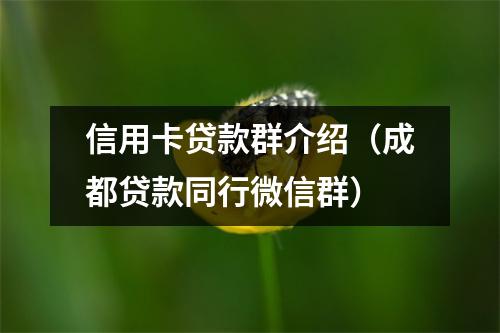 信用卡贷款群介绍（成都贷款同行微信群）