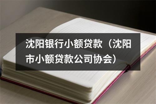 沈阳银行小额贷款（沈阳市小额贷款公司协会）
