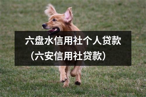 六盘水信用社个人贷款（六安信用社贷款）