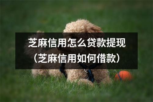 芝麻信用怎么贷款提现(芝麻信用如何借款)