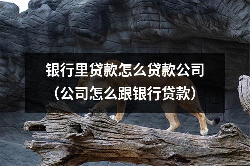 银行里贷款怎么贷款公司（公司怎么跟银行贷款）