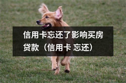 信用卡忘还了影响买房贷款(信用卡 忘还)