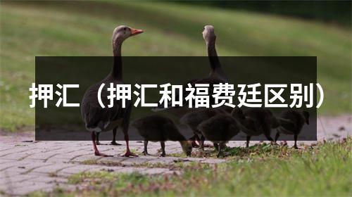 押汇（押汇和福费廷区别）