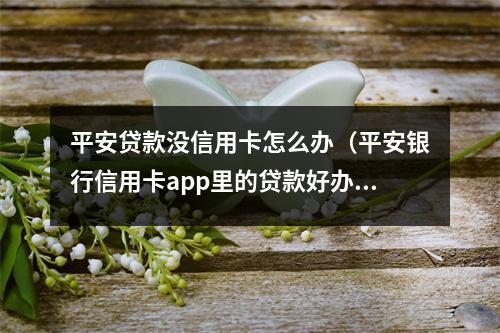 平安贷款没信用卡怎么办（平安银行信用卡app里的贷款好办吗）