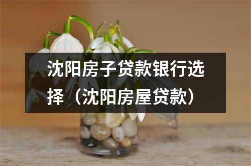 沈阳房子贷款银行选择（沈阳房屋贷款）