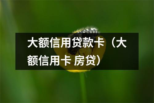大额信用贷款卡（大额信用卡 房贷）