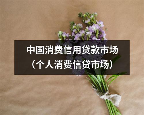 中国消费信用贷款市场（个人消费信贷市场）