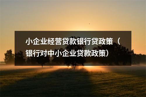 小企业经营贷款银行贷政策(银行对中小企业贷款政策)