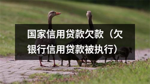 国家信用贷款欠款（欠银行信用贷款被执行）
