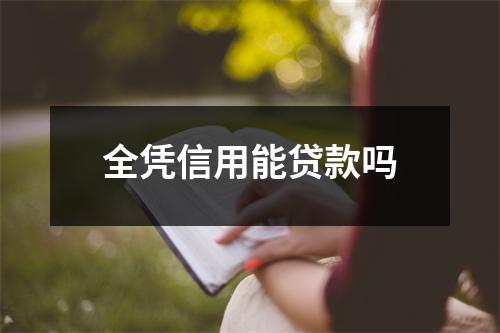 全凭信用能贷款吗