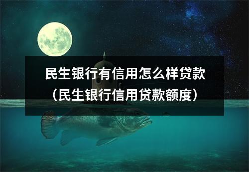 民生银行有信用怎么样贷款（民生银行信用贷款额度）