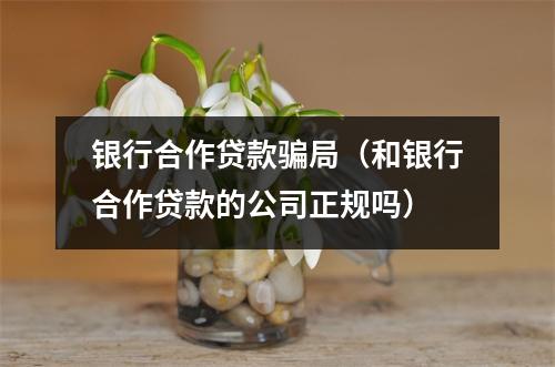 银行合作贷款骗局（和银行合作贷款的公司正规吗）
