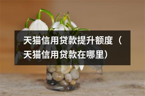 天猫信用贷款提升额度（天猫信用贷款在哪里）