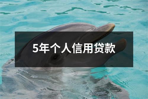 5年个人信用贷款